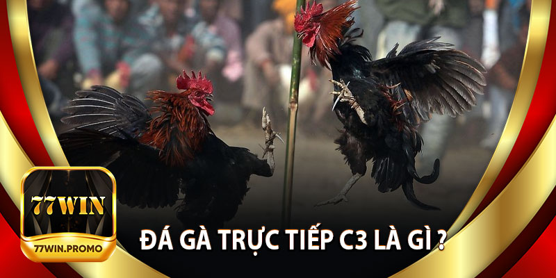 Đá Gà Trực Tiếp C3 Là Gì ?