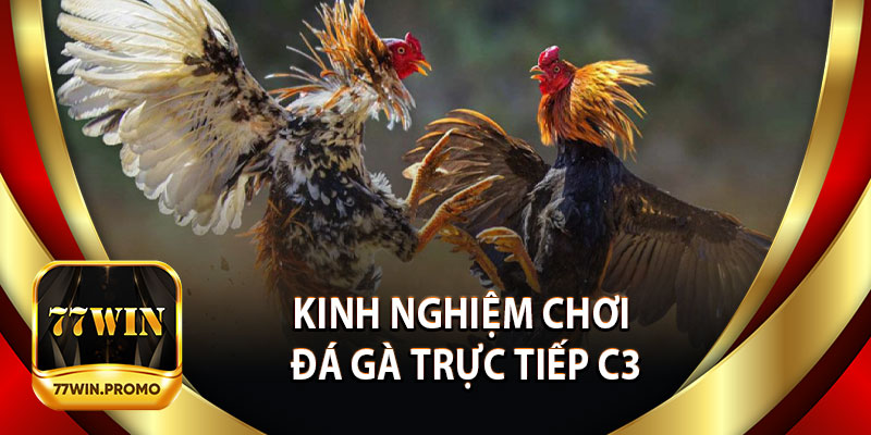 Kinh Nghiệm Chơi Đá Gà Trực Tiếp C3