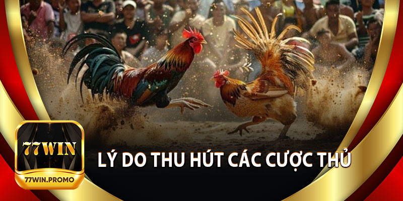 Lý Do Thu Hút Các Cược Thủ